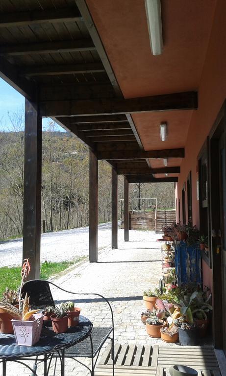 Eco Camping Juncal 호텔 Marco de Canavezes 외부 사진