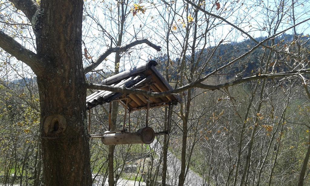 Eco Camping Juncal 호텔 Marco de Canavezes 외부 사진