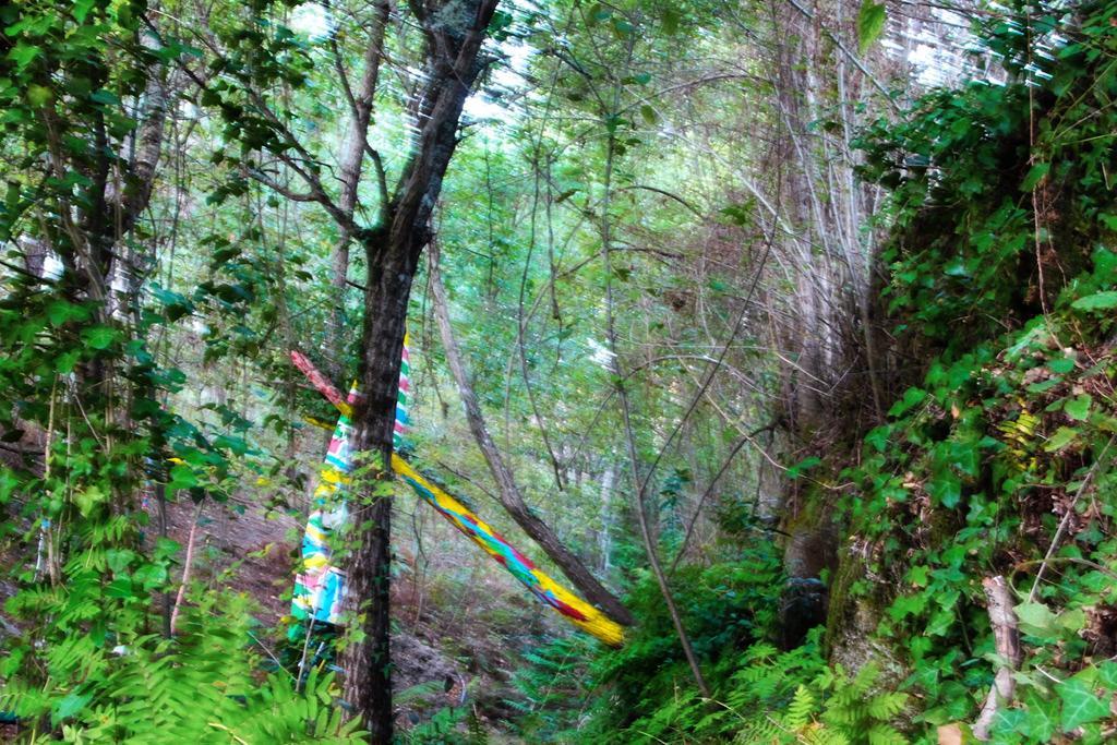 Eco Camping Juncal 호텔 Marco de Canavezes 외부 사진